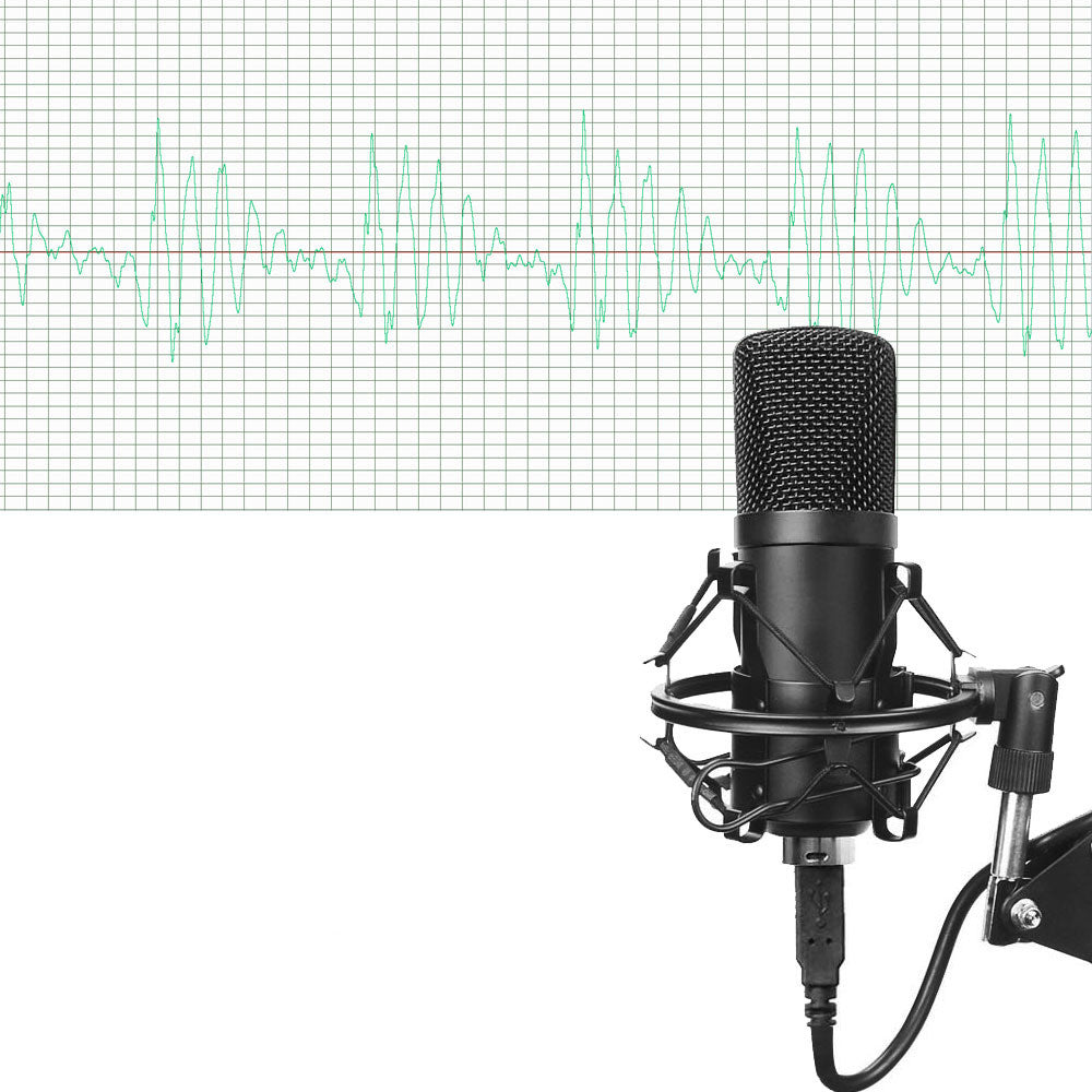 طقم ميكروفون BM-700 احترافي | Microphone Set BM-700 Condenser