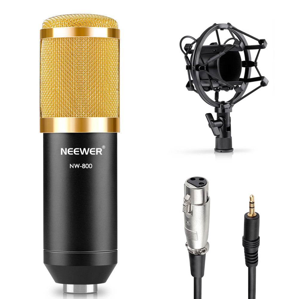 مايكروفون كوندنسر NW-800 مع حامل صدمات وكابل طاقة | NW-800 Condenser Microphone Shock Mount Power Cable