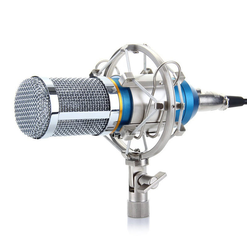 مايكروفون كوندنسر NW-800 مع حامل صدمات وكابل طاقة | NW-800 Condenser Microphone Shock Mount Power Cable