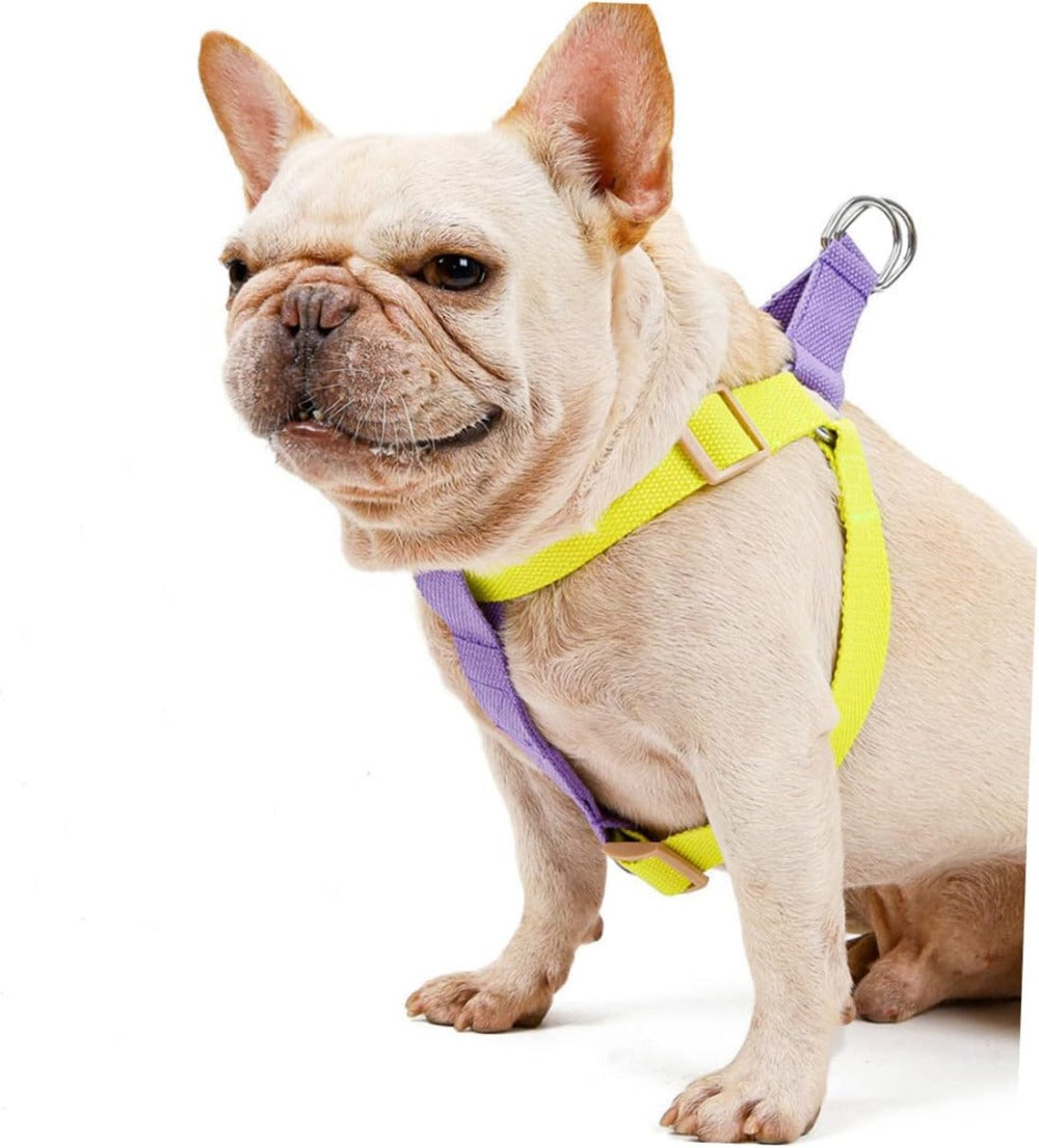 حزام ومقود للكلاب من النايلون | Dog Harness And Leash No Pull Nylon Pet Leashes For Small Dogs