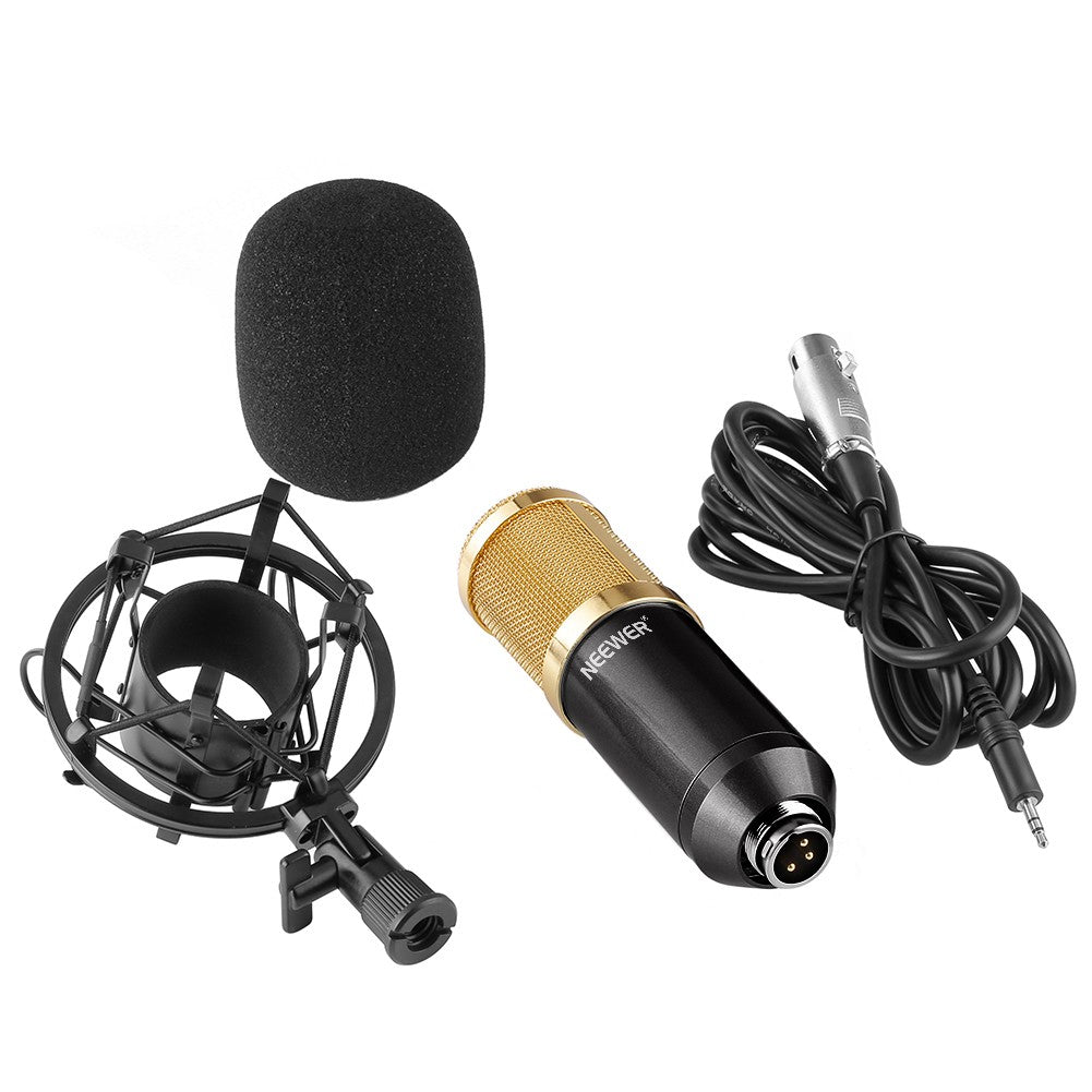 مايكروفون كوندنسر NW-800 مع حامل صدمات وكابل طاقة | NW-800 Condenser Microphone Shock Mount Power Cable