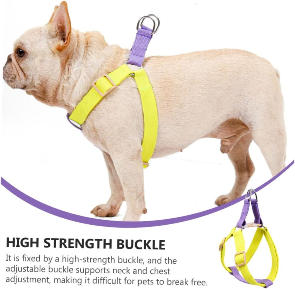 حزام ومقود للكلاب من النايلون | Dog Harness And Leash No Pull Nylon Pet Leashes For Small Dogs