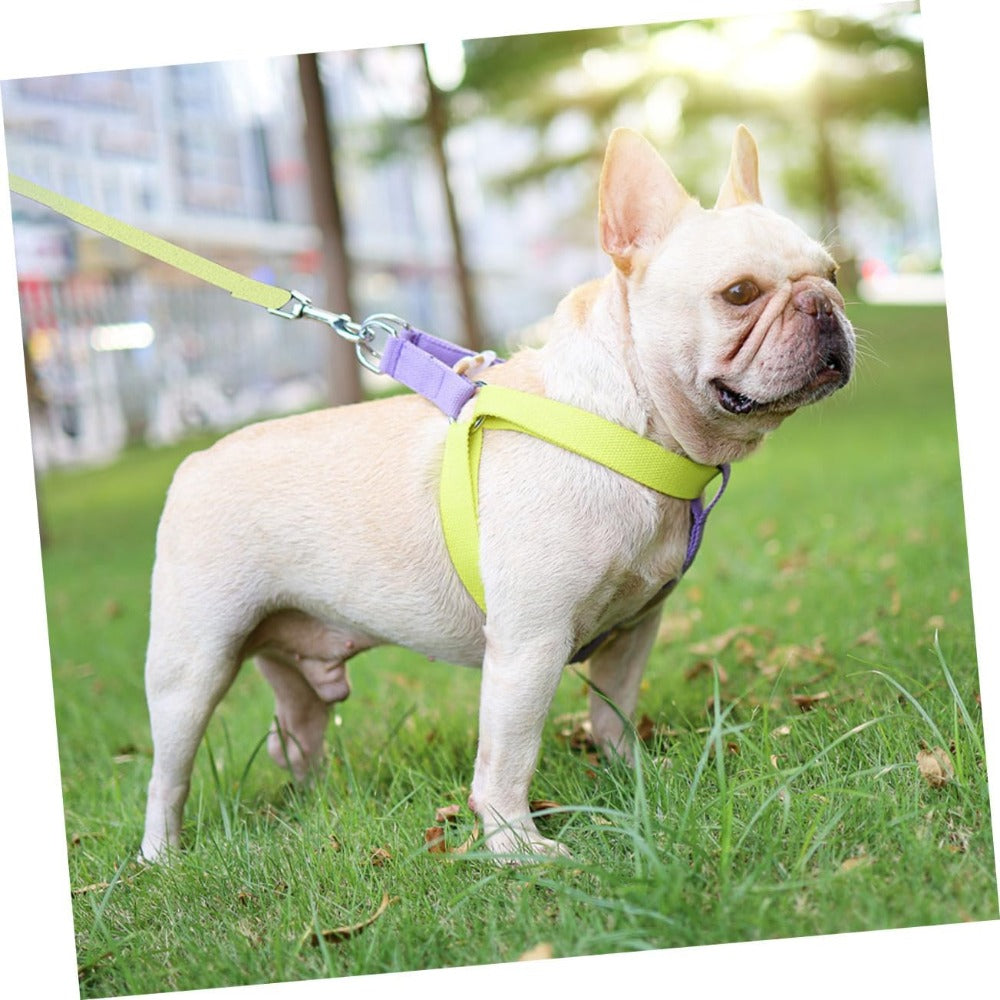 حزام ومقود للكلاب من النايلون | Dog Harness And Leash No Pull Nylon Pet Leashes For Small Dogs